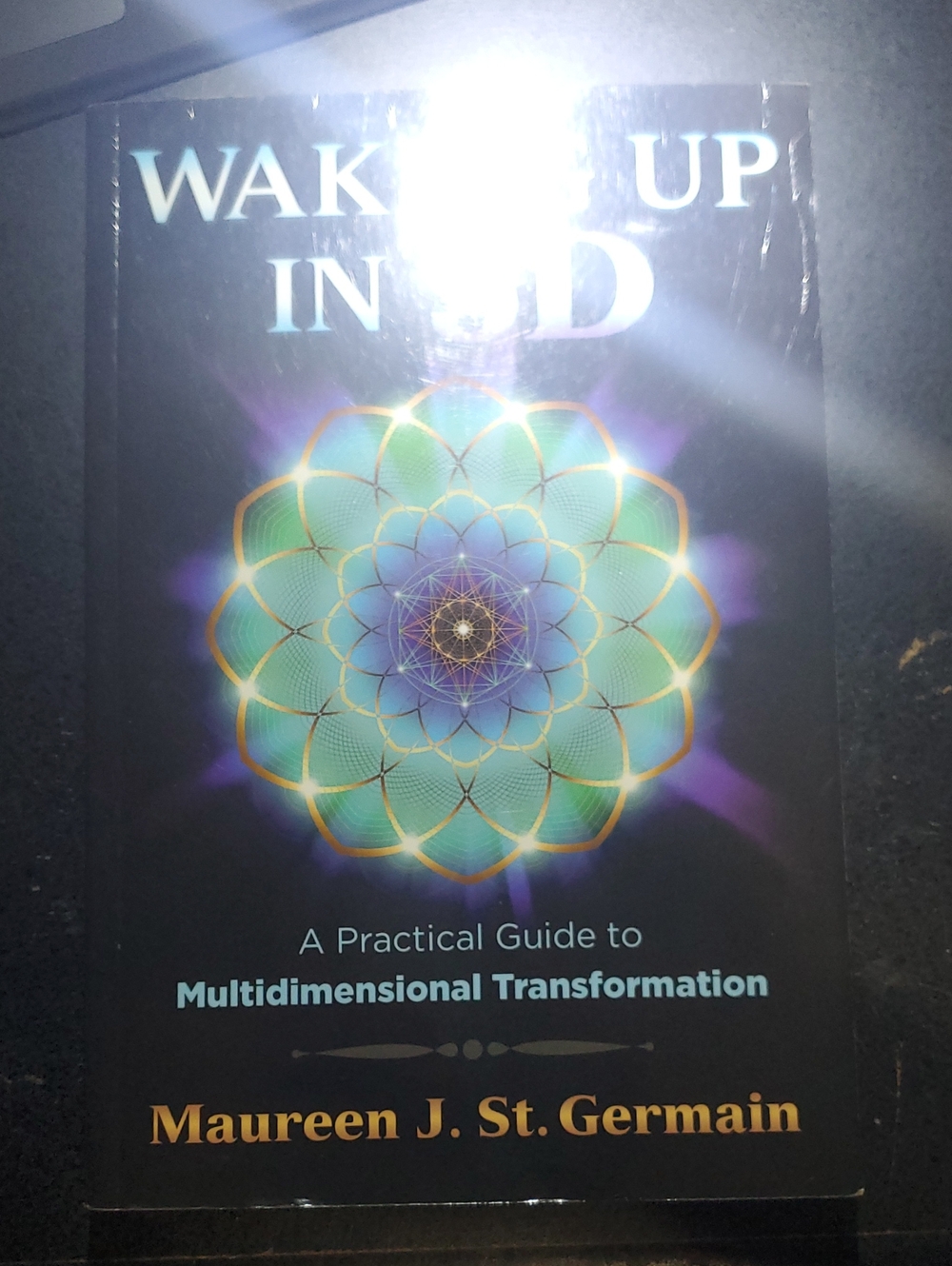 Maureen J. St. Germain Wake Up in 3D Multidimensional Guide - Teal & Purple